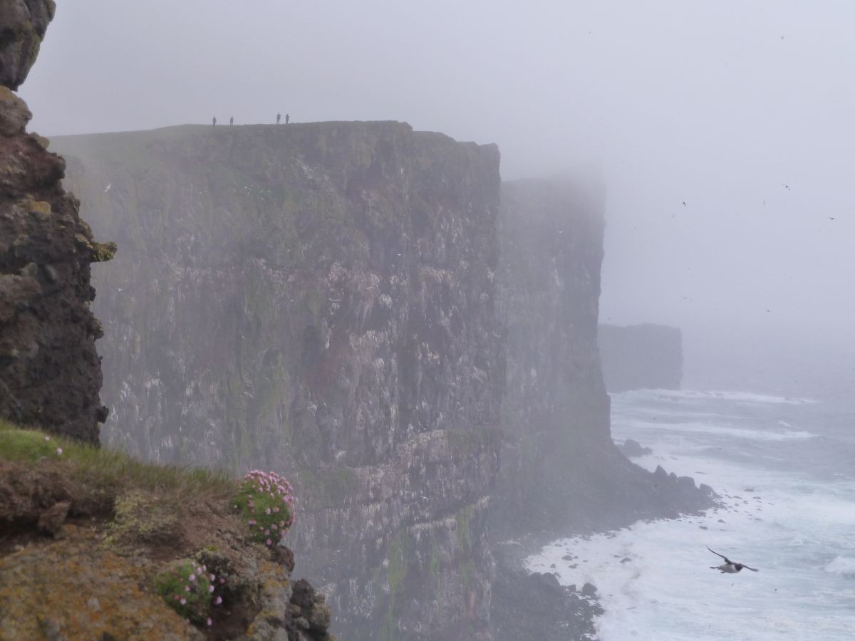 Westlichster Punkt Islands und Europas, Látrabjarg am Ende der Westfjorde. Die Felsen sind beeindruckende 450 Meter hoch und voll mit Lummen, Papageitauchern und anderen Seevögeln, Island 2018
